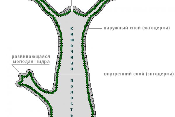 Блэк спрут регистрация